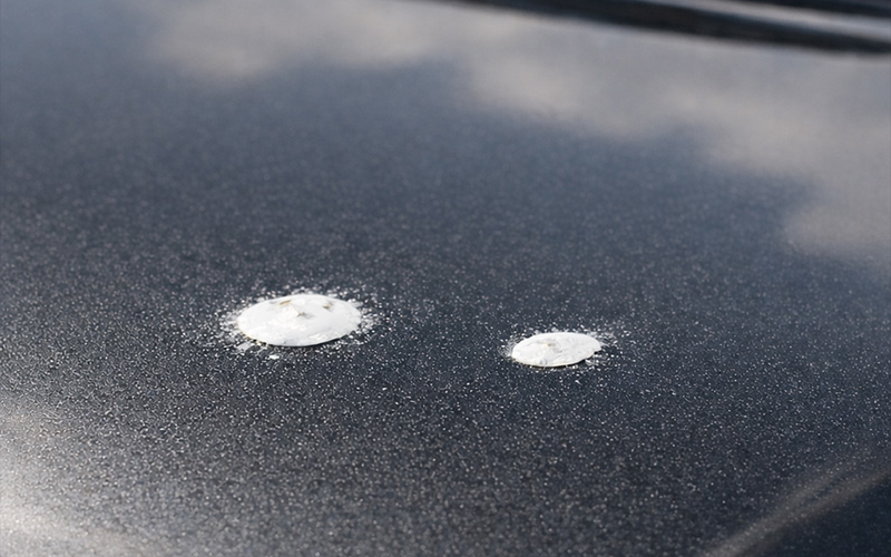 ペンキミスト除去（ダミー）